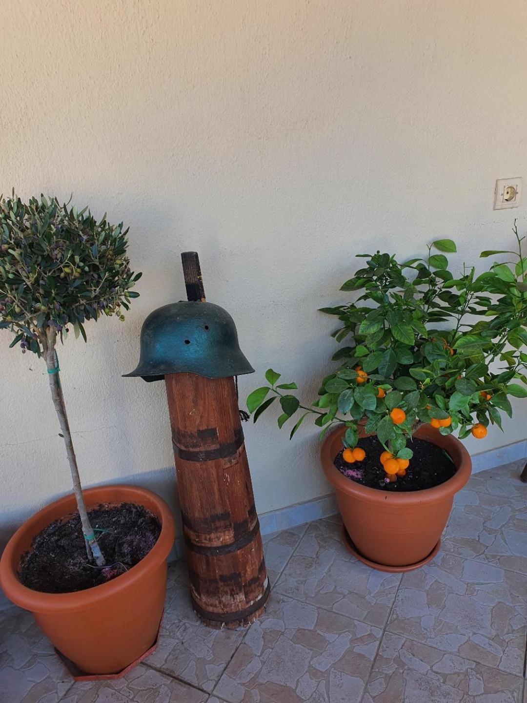 Alexandros Guesthouse Órma Екстериор снимка
